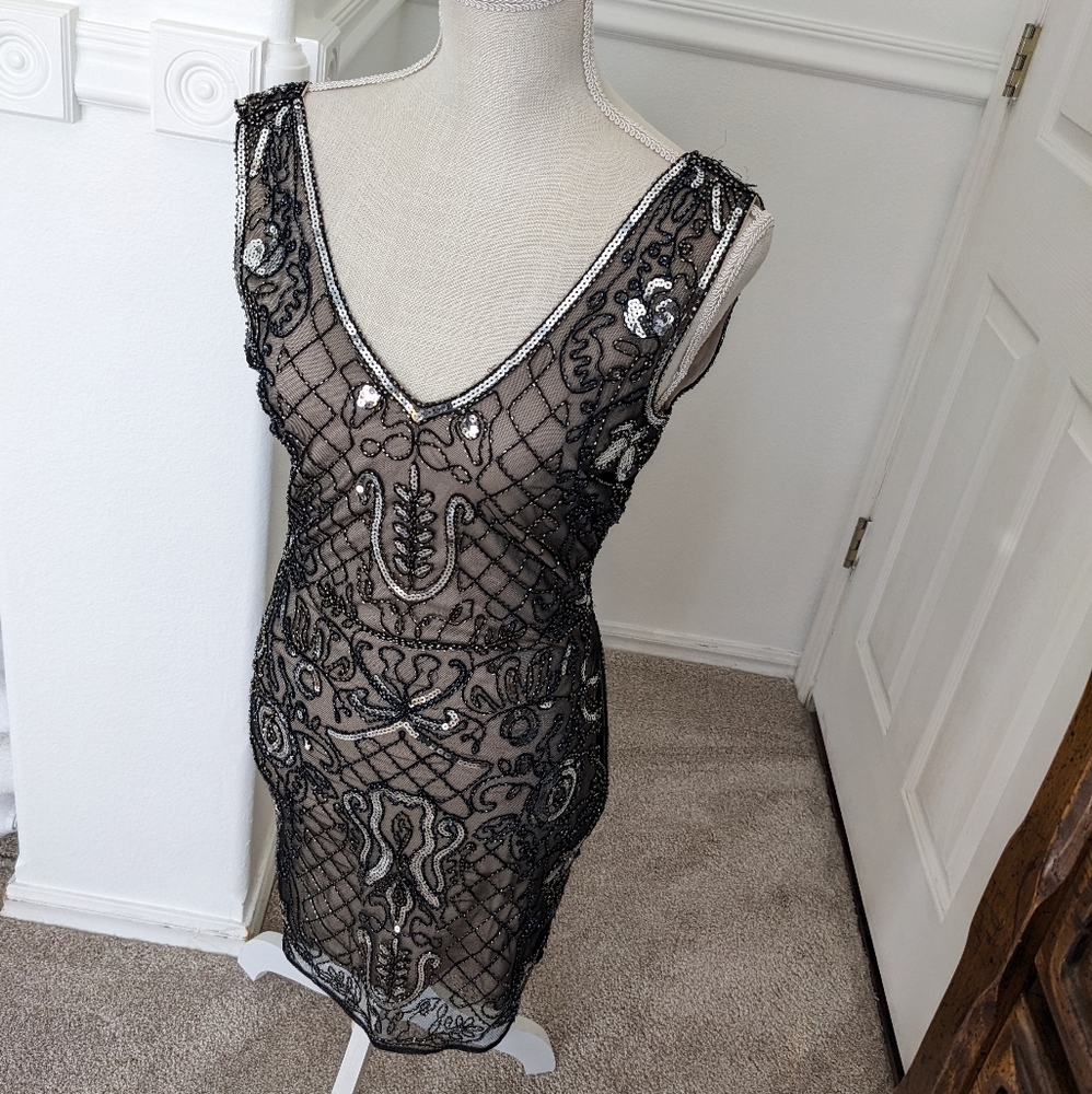 Beautiful Mesh Sequin Dress